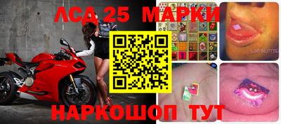 крисы Чебаркуль