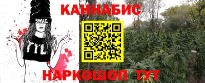крисы Чебаркуль